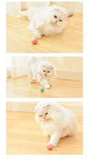 Brinquedo Inteligente Bola Automática para Gatos